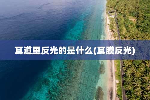 耳道里反光的是什么(耳膜反光)