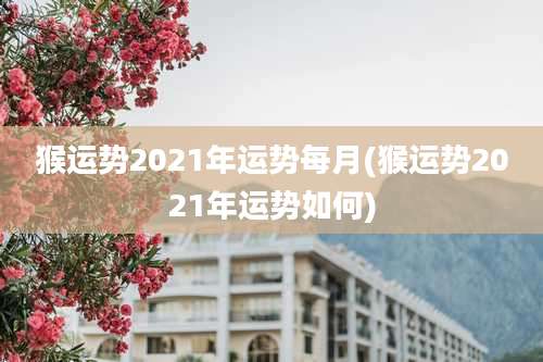 猴运势2021年运势每月(猴运势2021年运势如何)