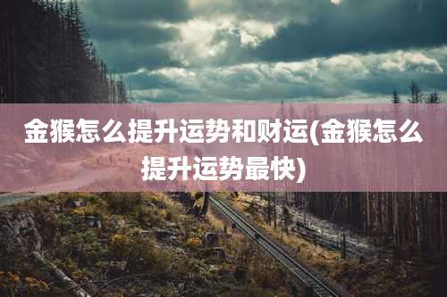 金猴怎么提升运势和财运(金猴怎么提升运势最快)