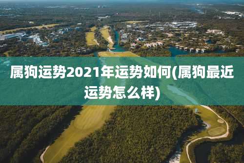 属狗运势2021年运势如何(属狗最近运势怎么样)