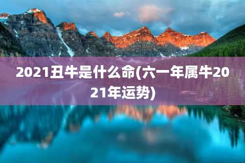 2021丑牛是什么命(六一年属牛2021年运势)