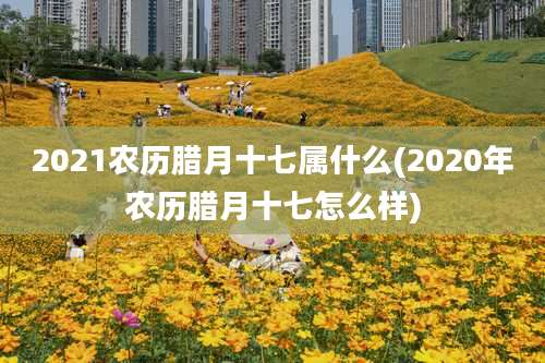 2021农历腊月十七属什么(2020年农历腊月十七怎么样)