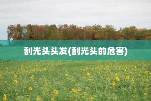 刮光头头发(刮光头的危害)