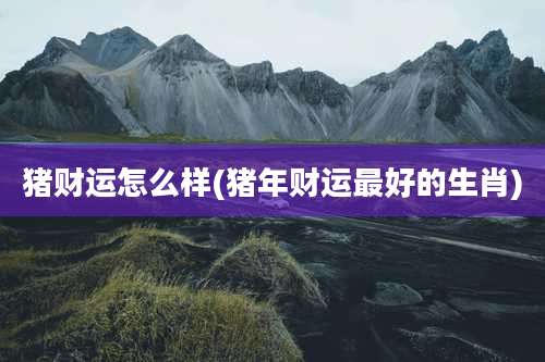 猪财运怎么样(猪年财运最好的生肖)