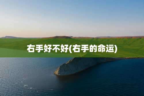 右手好不好(右手的命运)