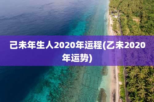 己未年生人2020年运程(乙未2020年运势)