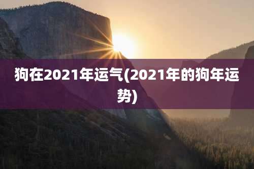 狗在2021年运气(2021年的狗年运势)