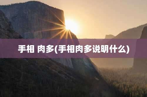 手相 肉多(手相肉多说明什么)