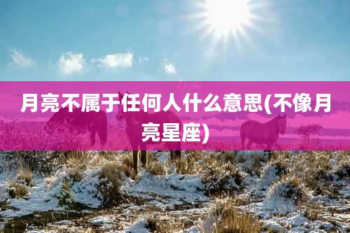 月亮不属于任何人什么意思(不像月亮星座)