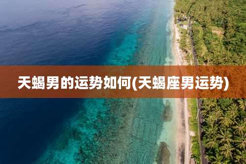 天蝎男的运势如何(天蝎座男运势)