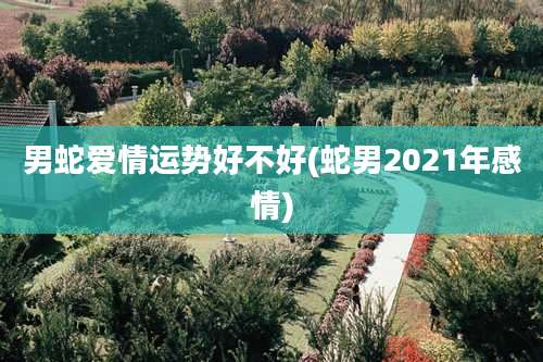 男蛇爱情运势好不好(蛇男2021年感情)