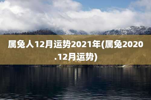 属兔人12月运势2021年(属兔2020.12月运势)
