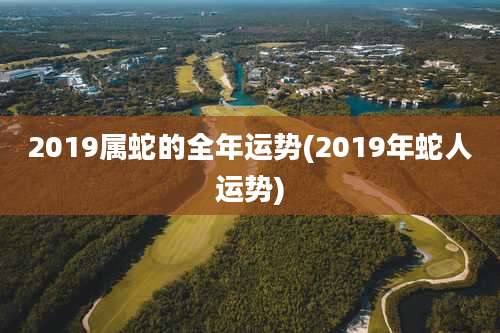 2019属蛇的全年运势(2019年蛇人运势)