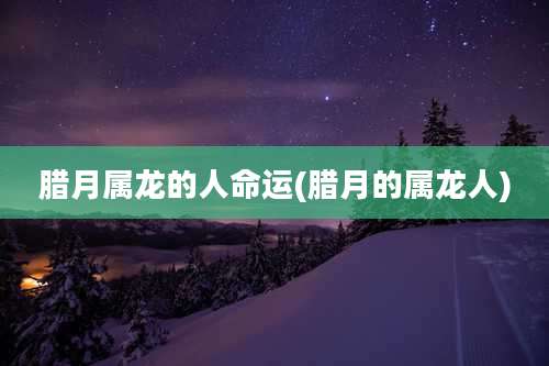 腊月属龙的人命运(腊月的属龙人)