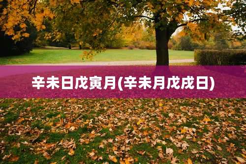 辛未日戊寅月(辛未月戊戌日)