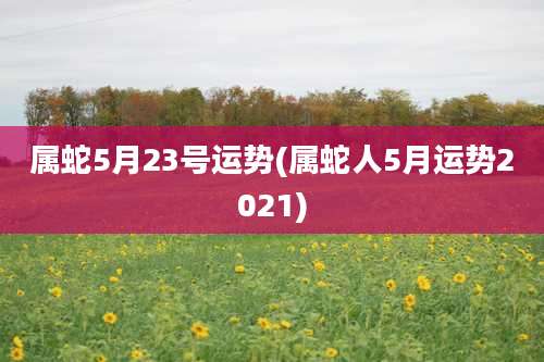 属蛇5月23号运势(属蛇人5月运势2021)