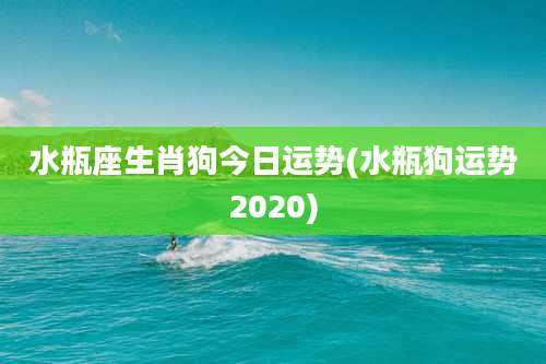 水瓶座生肖狗今日运势(水瓶狗运势2020)
