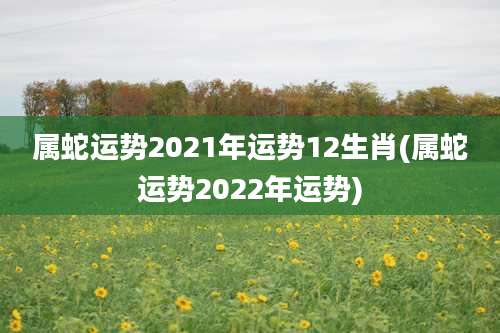 属蛇运势2021年运势12生肖(属蛇运势2022年运势)