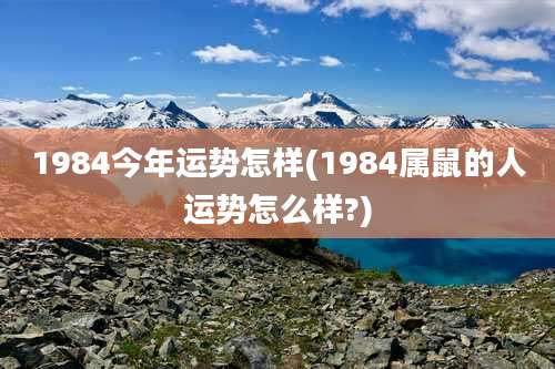 1984今年运势怎样(1984属鼠的人运势怎么样?)