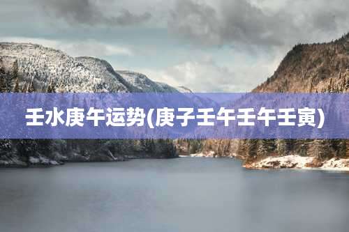 壬水庚午运势(庚子壬午壬午壬寅)