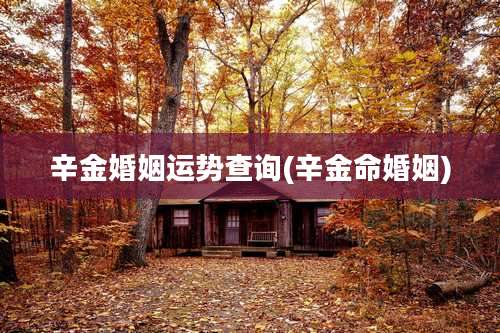辛金婚姻运势查询(辛金命婚姻)