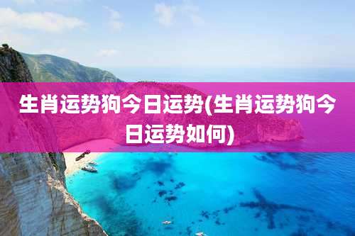 生肖运势狗今日运势(生肖运势狗今日运势如何)