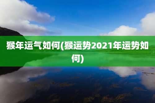 猴年运气如何(猴运势2021年运势如何)