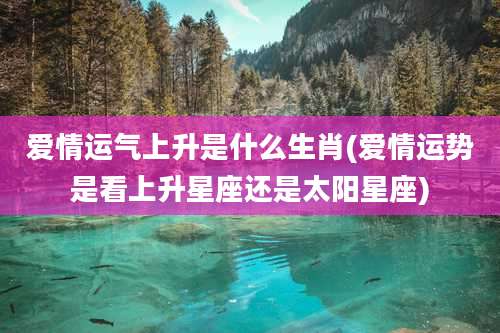 爱情运气上升是什么生肖(爱情运势是看上升星座还是太阳星座)