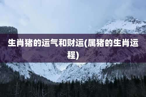 生肖猪的运气和财运(属猪的生肖运程)