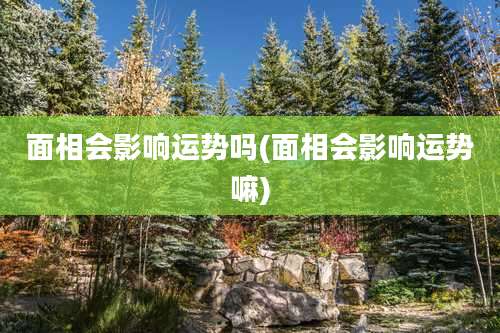 面相会影响运势吗(面相会影响运势嘛)