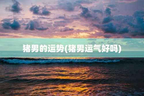 猪男的运势(猪男运气好吗)