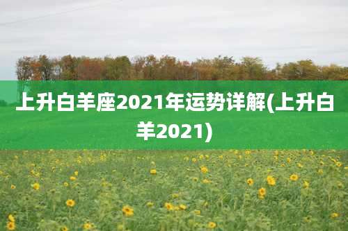 上升白羊座2021年运势详解(上升白羊2021)