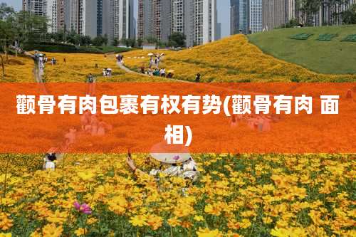 颧骨有肉包裹有权有势(颧骨有肉 面相)