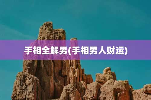 手相全解男(手相男人财运)