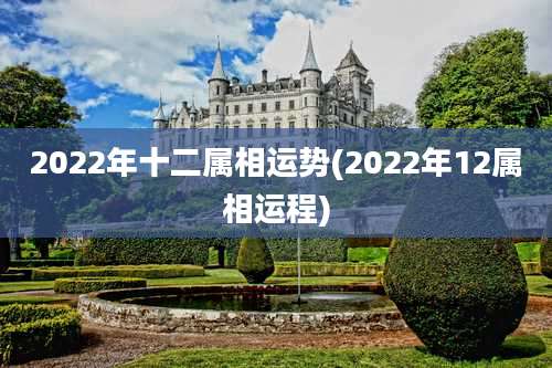 2022年十二属相运势(2022年12属相运程)