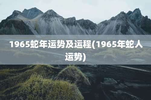 1965蛇年运势及运程(1965年蛇人运势)