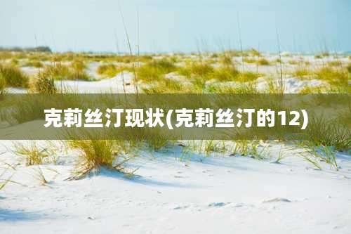 克莉丝汀现状(克莉丝汀的12)