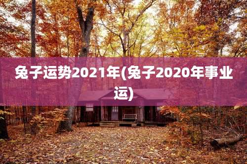 兔子运势2021年(兔子2020年事业运)