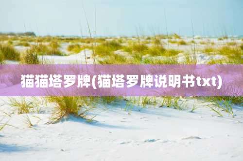 猫猫塔罗牌(猫塔罗牌说明书txt)