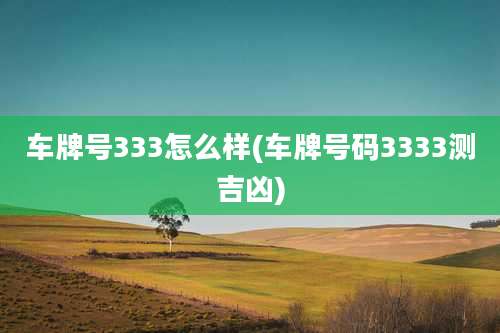 车牌号333怎么样(车牌号码3333测吉凶)