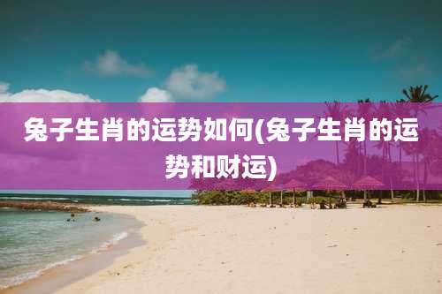 兔子生肖的运势如何(兔子生肖的运势和财运)