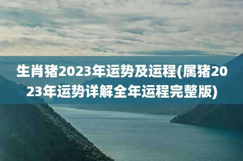 生肖猪2023年运势及运程(属猪2023年运势详解全年运程完整版)