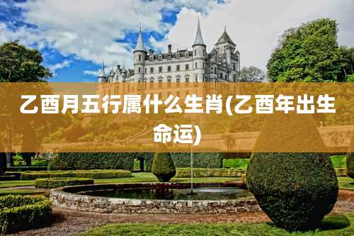 乙酉月五行属什么生肖(乙酉年出生命运)