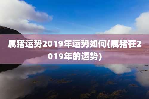 属猪运势2019年运势如何(属猪在2019年的运势)