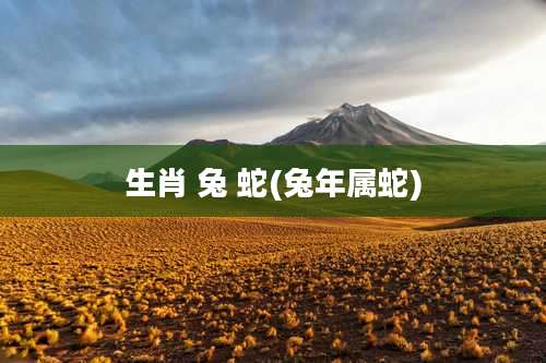 生肖 兔 蛇(兔年属蛇)