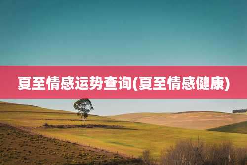 夏至情感运势查询(夏至情感健康)