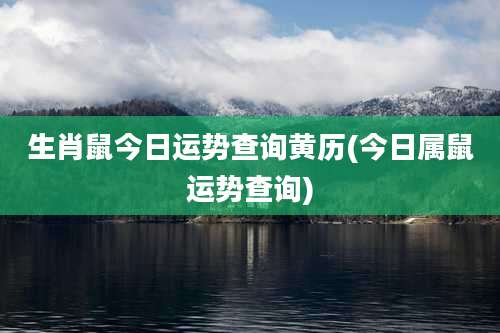 生肖鼠今日运势查询黄历(今日属鼠运势查询)