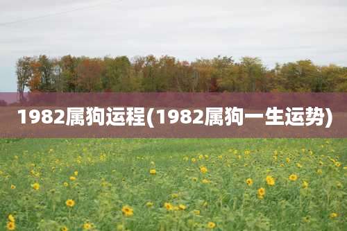 1982属狗运程(1982属狗一生运势)