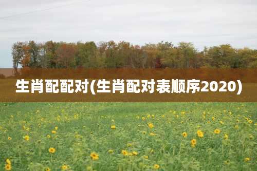 生肖配配对(生肖配对表顺序2020)