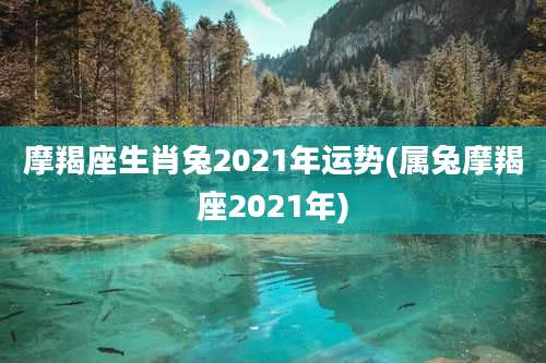 摩羯座生肖兔2021年运势(属兔摩羯座2021年)